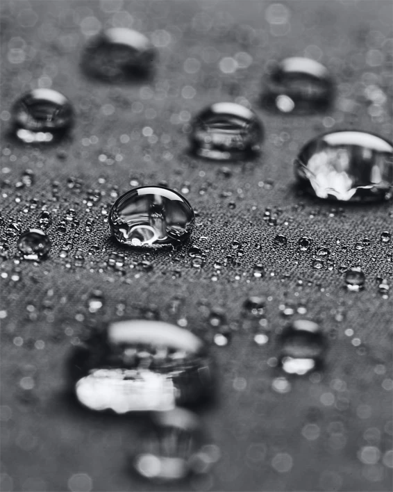 V5-1369254-002_STORM_SL.webp